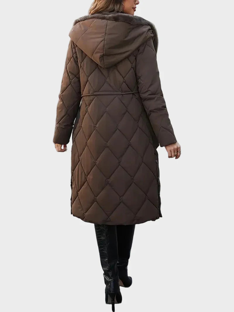 Dinamiska ziemas jaka